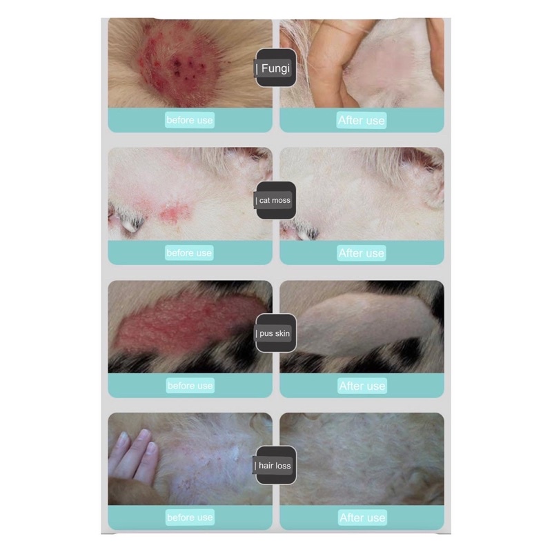 Annsipet skin disease lotion for dog and cat (jamur, kutu, bakteri, gatel2, merah)