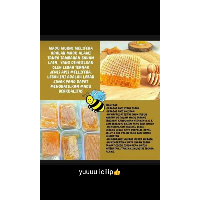 

Madu Sarang Malifera/Cerana