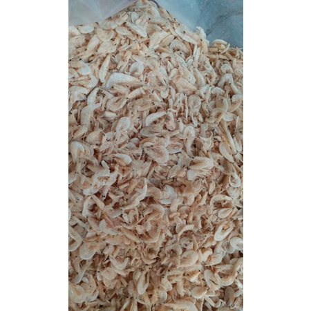 

Rebon asin 1kg size sedang