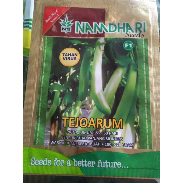 benih terong hijau tejo arum