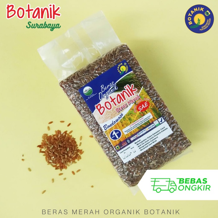 

Beras Merah Organik (Aromatik) - Botanik