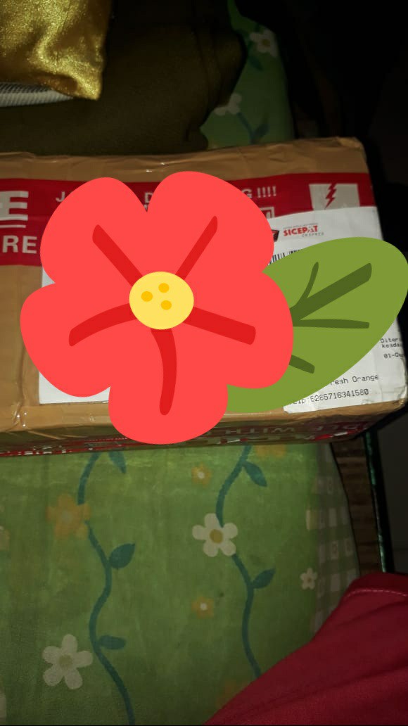 Karbol Sereh Prokleen 1000ml