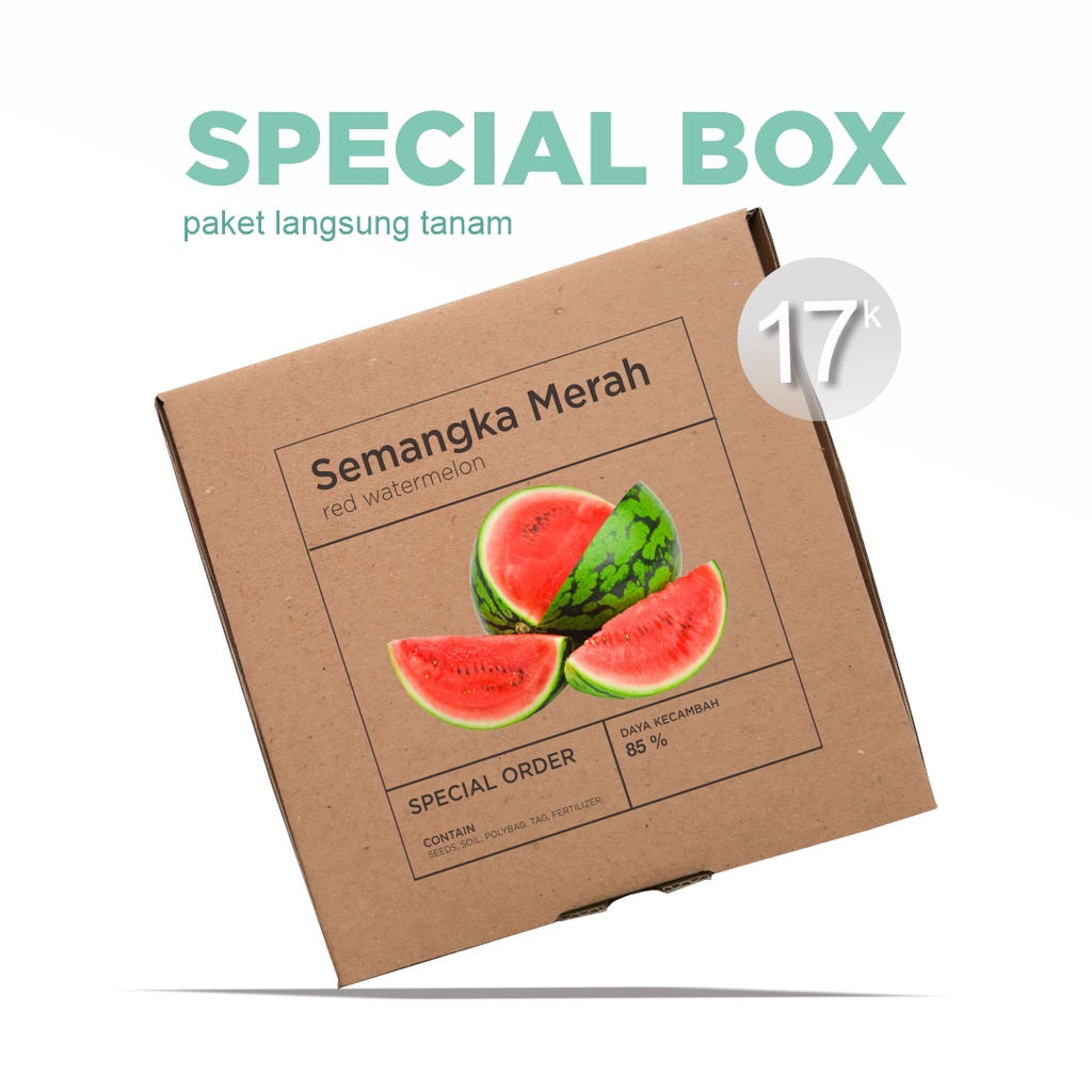 Paket Langsung Tanam - Gardening Kit - SPECIAL BOX - Benih Semangka Merah F1 Red Watermelon Seeds