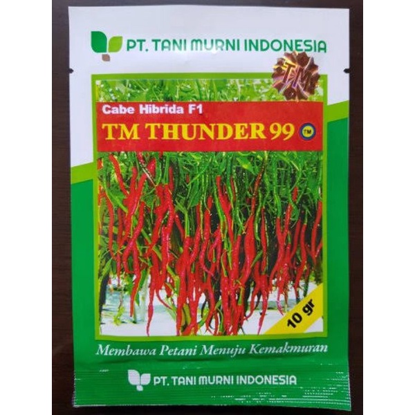 Benih cabe merah keriting TM Thunder 99 cabe hibrida F1 benih cabai merah