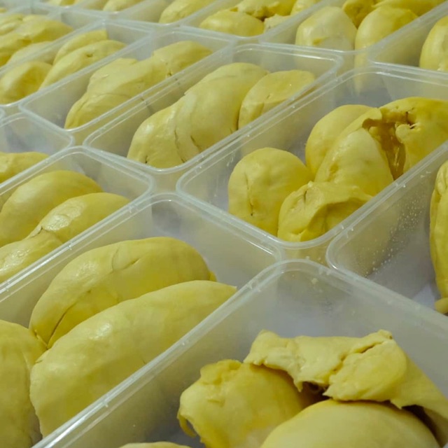 

Duren montong