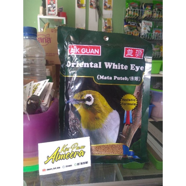 AIK GUAN MATA PUTTEH IMPORT SINGAPURA UNTUK PLECI
