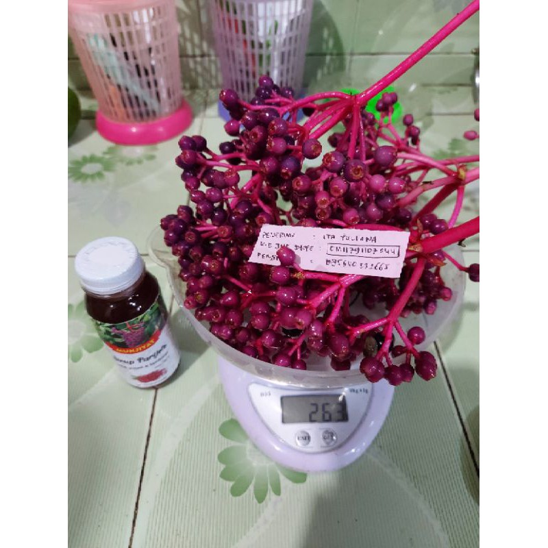 PAKET MURAH PROMIL PARIJOTO, SIRUP PARIJOTHO MUNJIYAT 100 % ASLI PRODUK MURIA