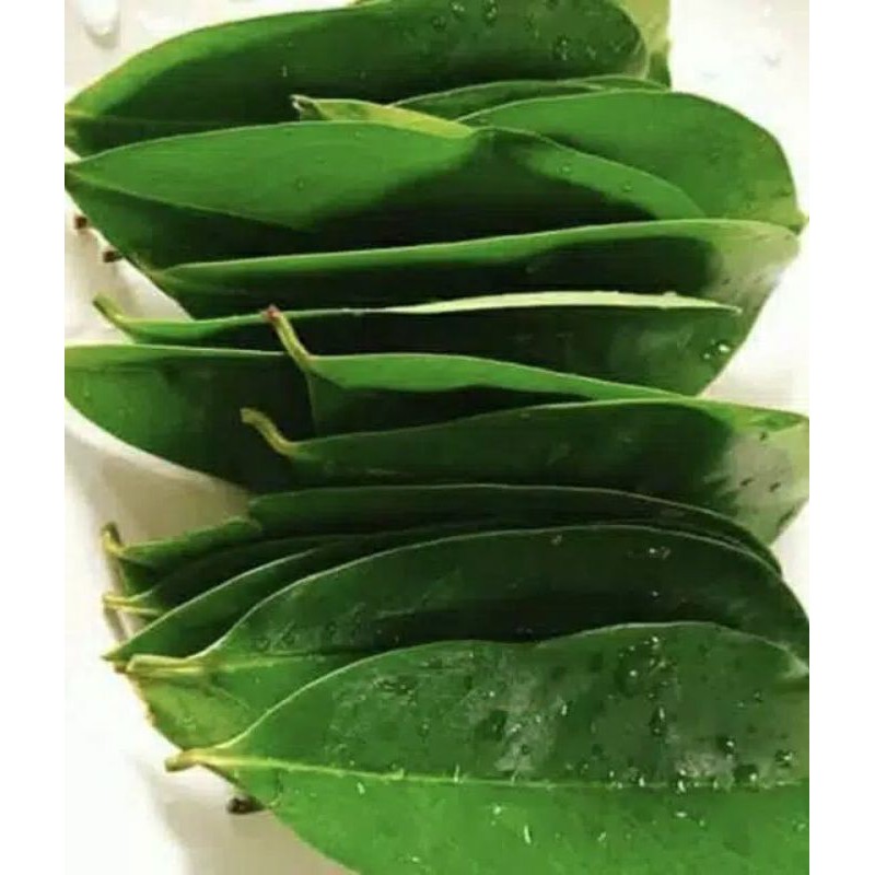 

Daun sirsat (minim 5 lembar)