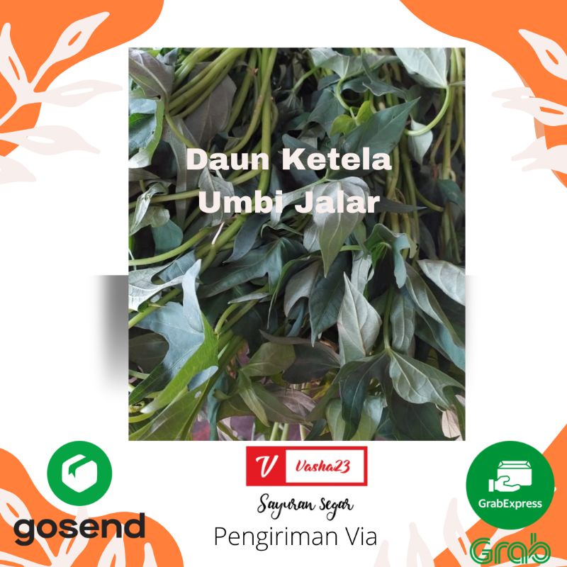 

DAUN KETELA / UMBI JALAR SAYURAN per ikat