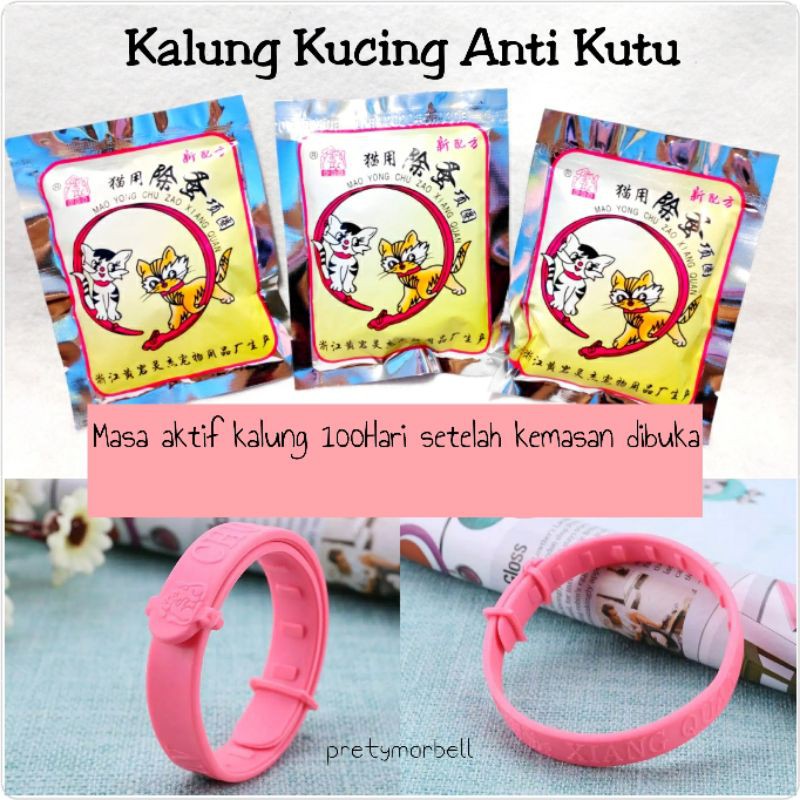 Kalung Kucing Anti Kutu Termurah