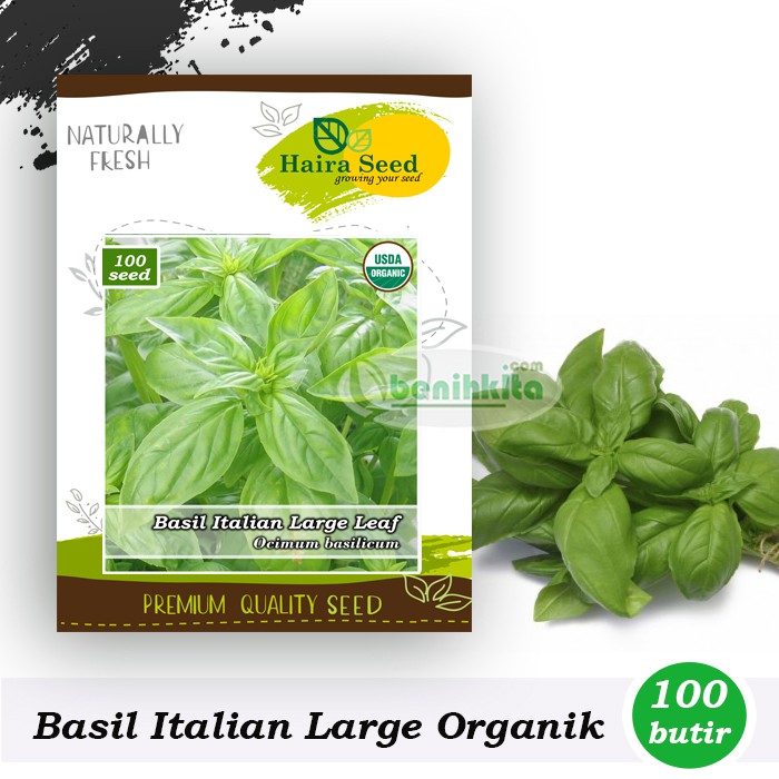 Benih-Bibit Basil Italian Large Leaf Organik (Haira Seed)