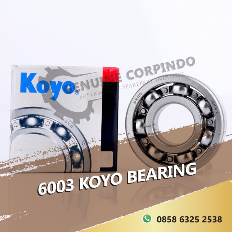 6003 KOYO BEARING