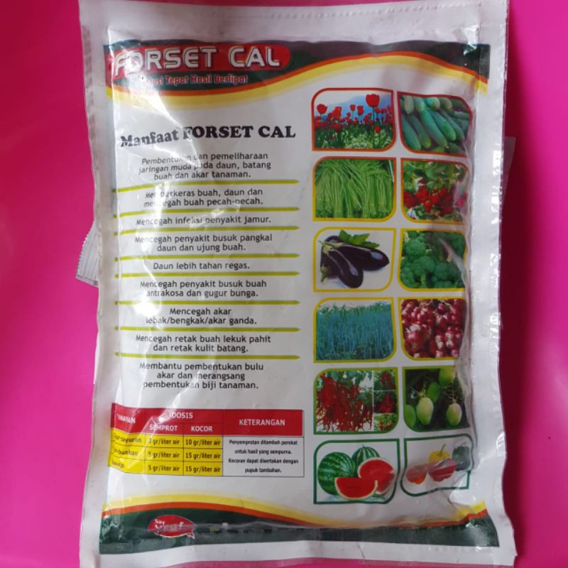 FORSET CAL 1KG Pupuk Super Kalsium + Boron