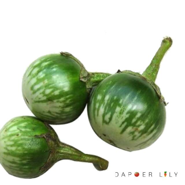 

Terung bulat