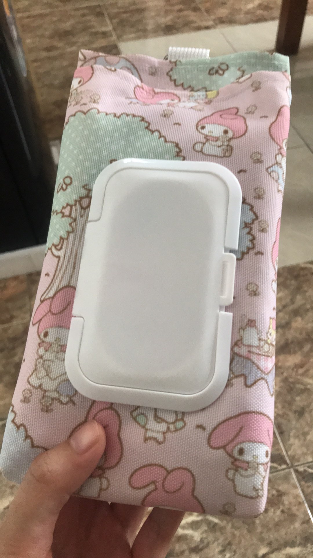 Pouch Tissue Basah N Kering L