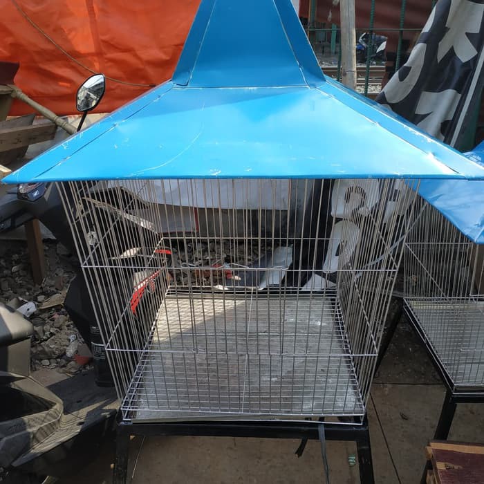 Kandang Burung Beo Ukuran Besar B383 Shopee Indonesia