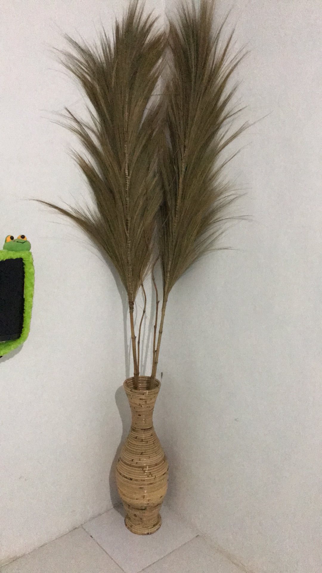 Paket Termurah Homedecor Rayung Rustic Dekorasi Rayung Kering Bunga Rayung Panjang Rayung Natural