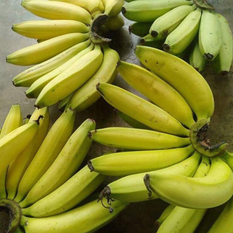 

Pisang Ambon Kuning/sisir