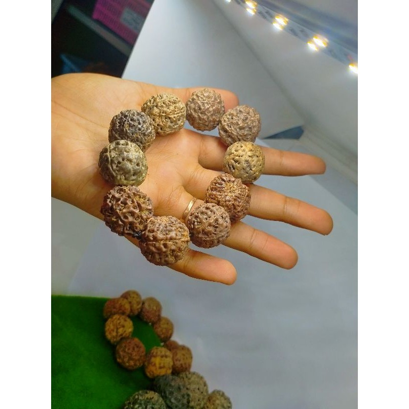 gelang bua jenitri asli