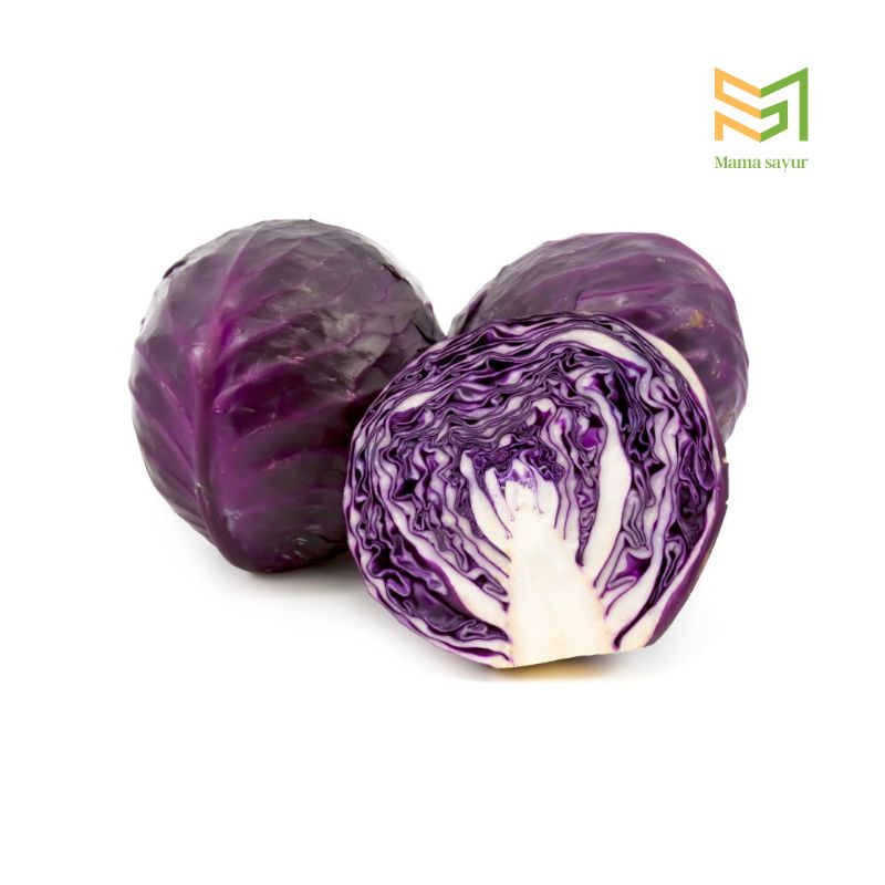 

Kol ungu segar per kg