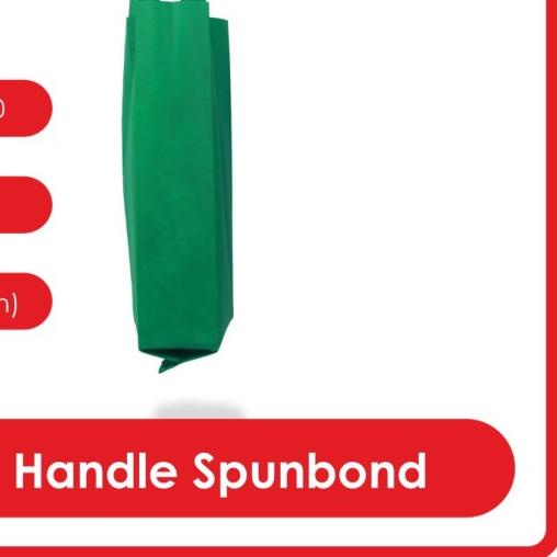 

GOODIE BAG SPUNBOND HANDLE LUSINAN 30x40 / Tas Belanja (HIjau Tua)