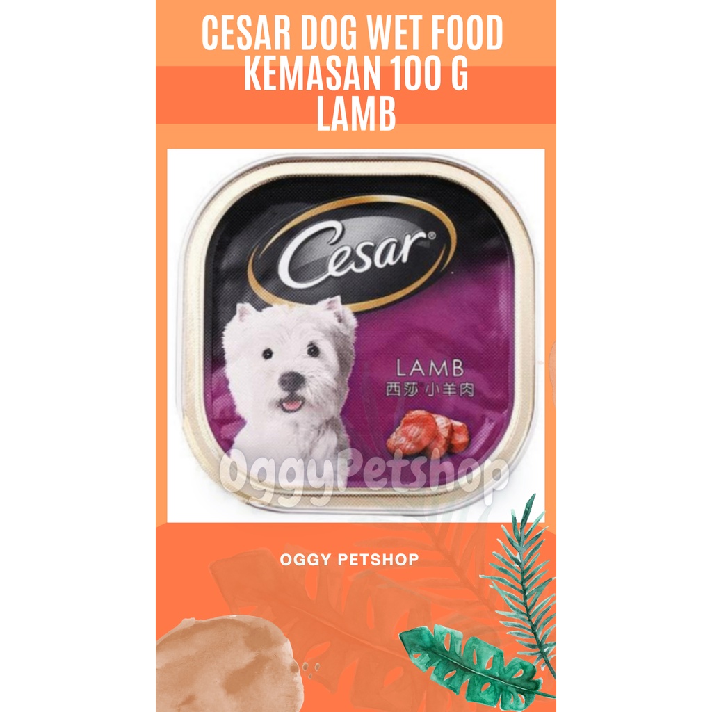 Cesar Wet Dog Food Kemasan Kaleng 100gr - Makanan Anjing Basah