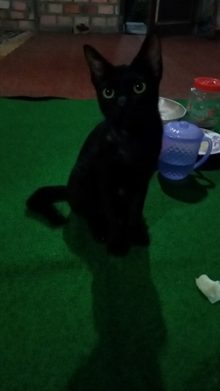 Atasan Pria Wanita Batik Cople Sogan