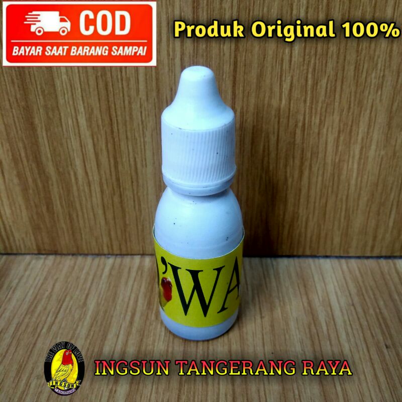 DWA TETES INGSUN, LOVEBIRD, KICAU, BURUNG