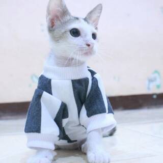  Kaos  strip hitam putih motif  besar lucu untuk kucing dan 