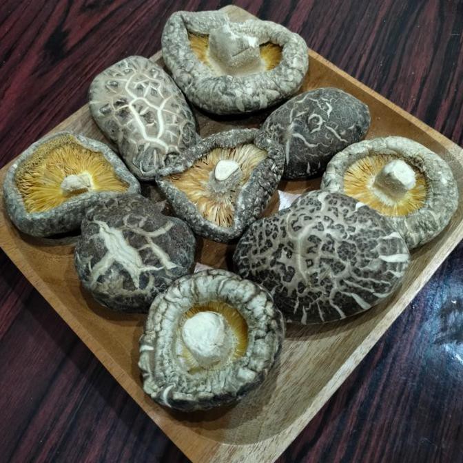 

TERMURAH Jamur Shitake / Hioko / Hyoko Kering Besar Repack 100 Gram Kode 233