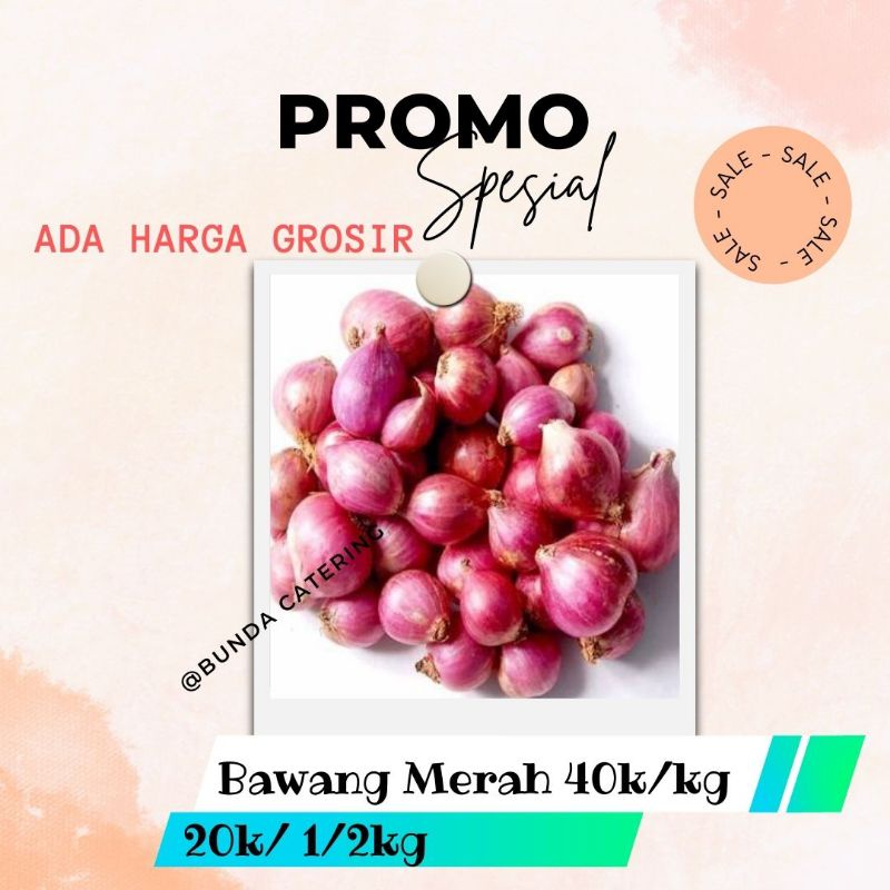 

Bawang Merah Brebes kg Murah