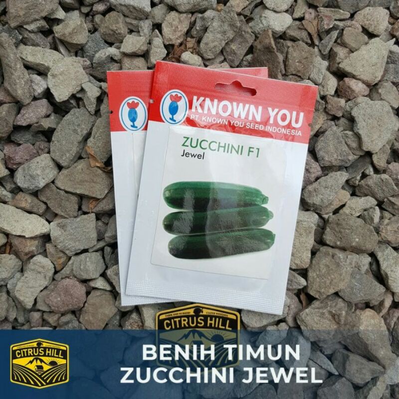 Benih Timun Zucchini Jewel Known You Seed SP
