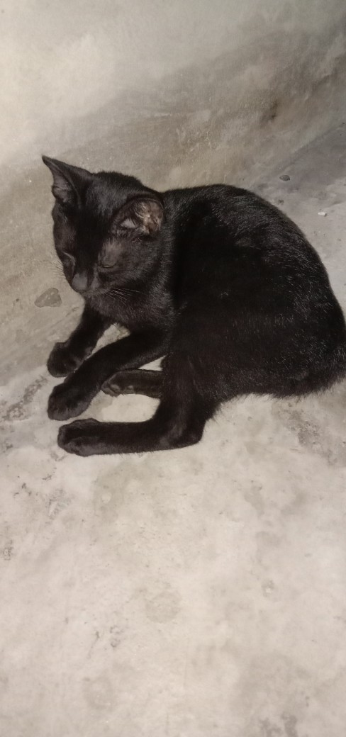 Batik Couple Anak  Terbaru