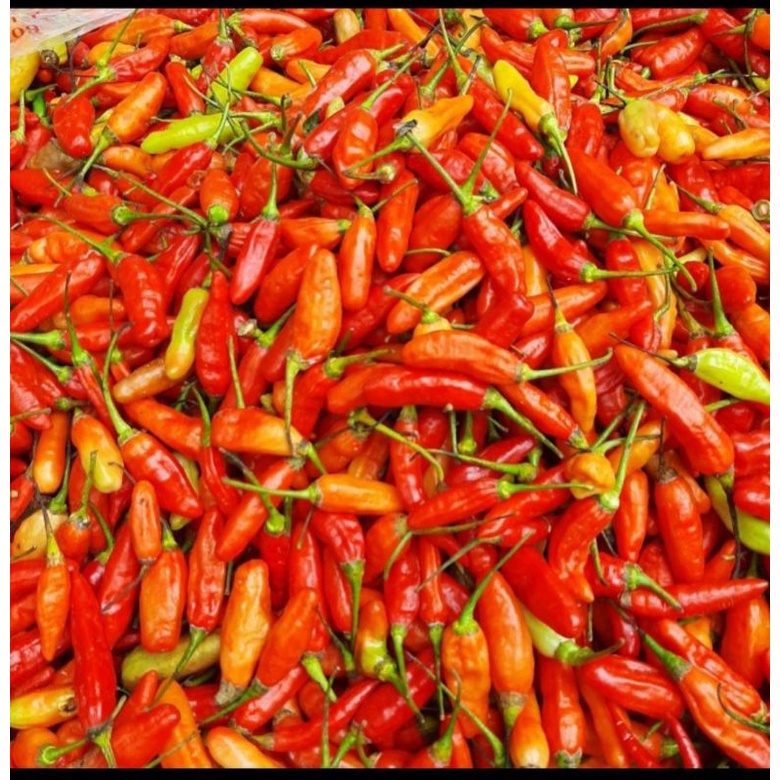 

Rawit merah pedas 250gram