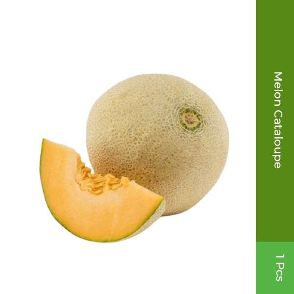 

Melon Cataloupe 1Pcs