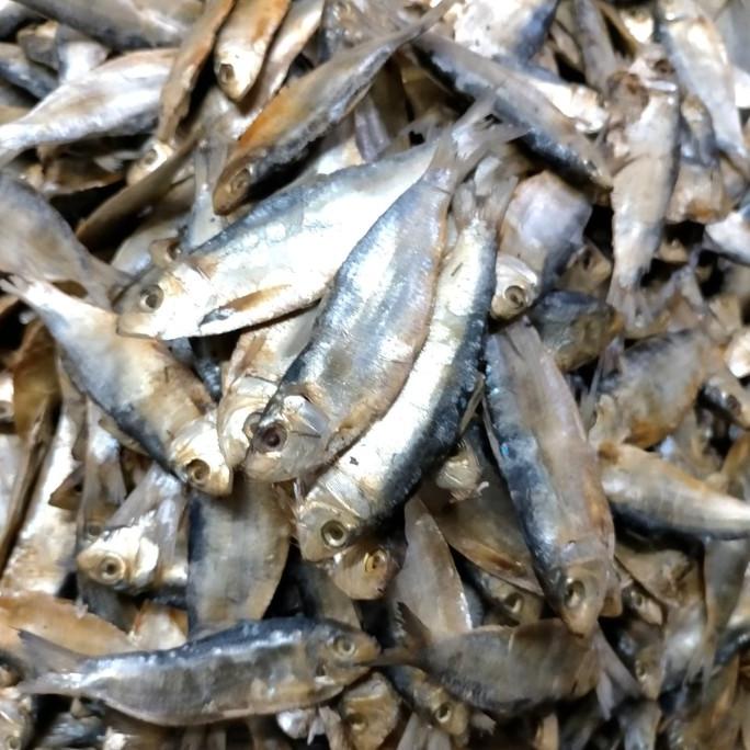 

TERBAIK IKAN ASIN TAMBANG 250 GR DISCOUNT