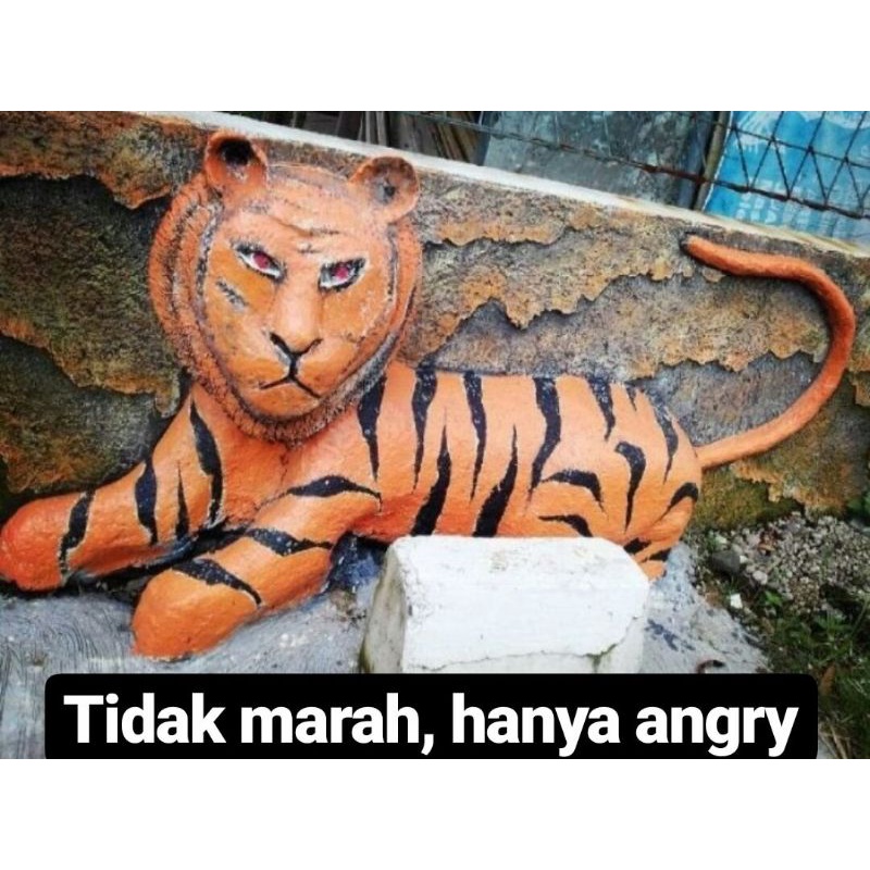 CO ALBUM X SELLKOR DAEGAL