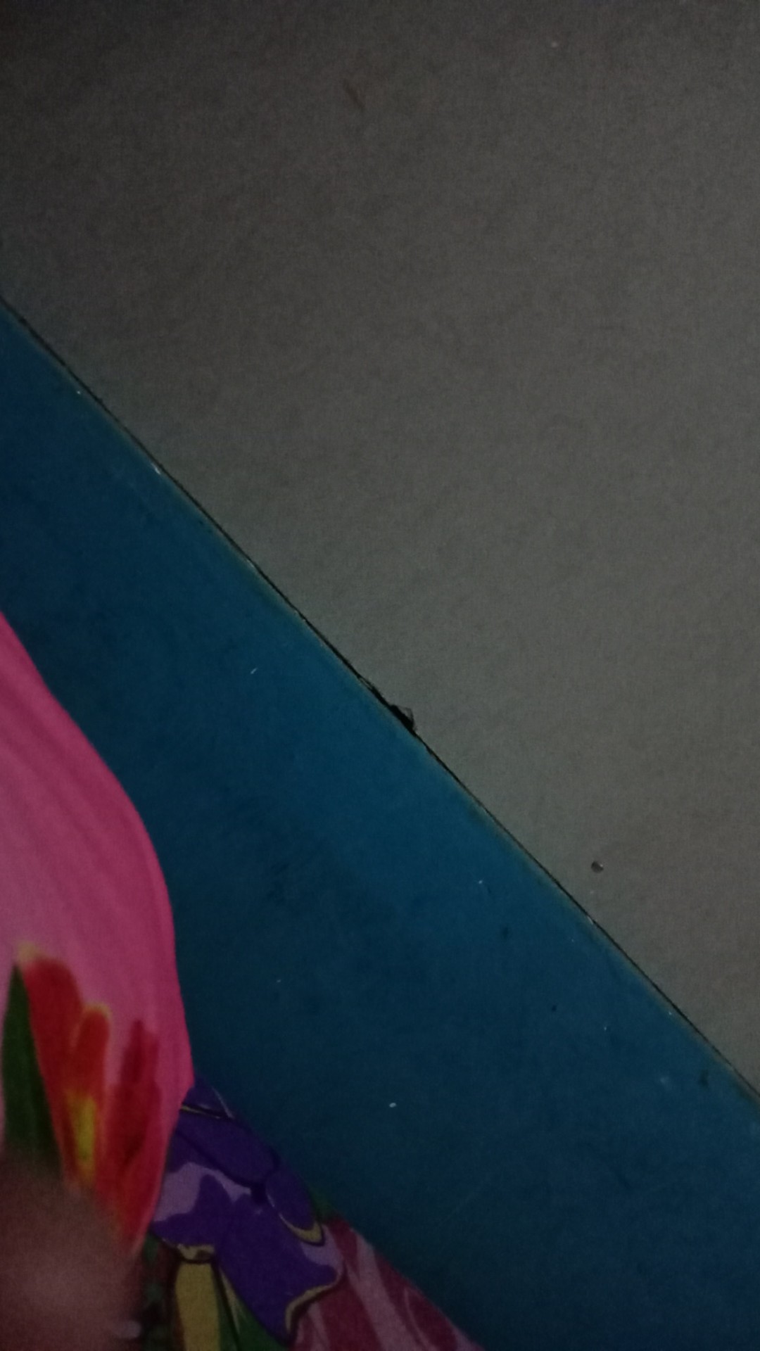 Seni Bonsai Indonesia