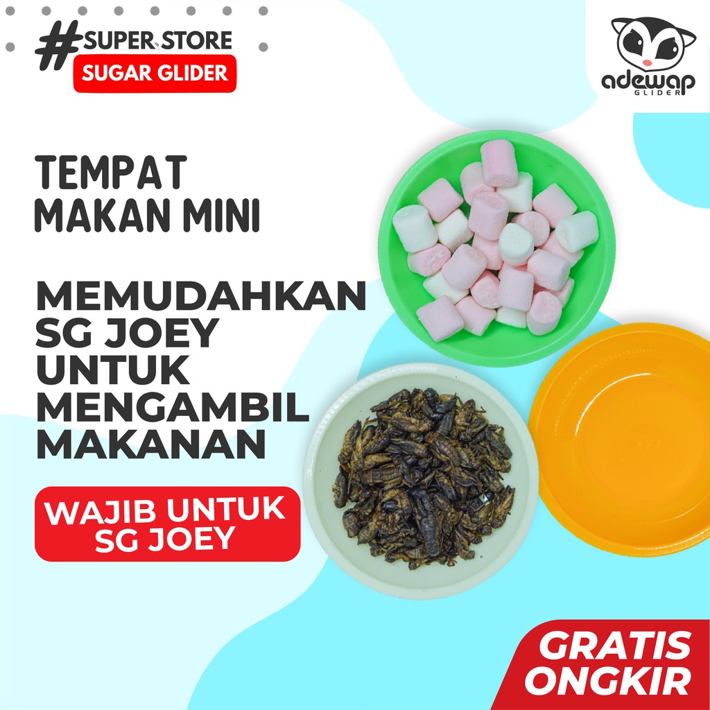 ADEWAP GLIDER Tempat Makan Joey Piring Camilan Sugar Glider