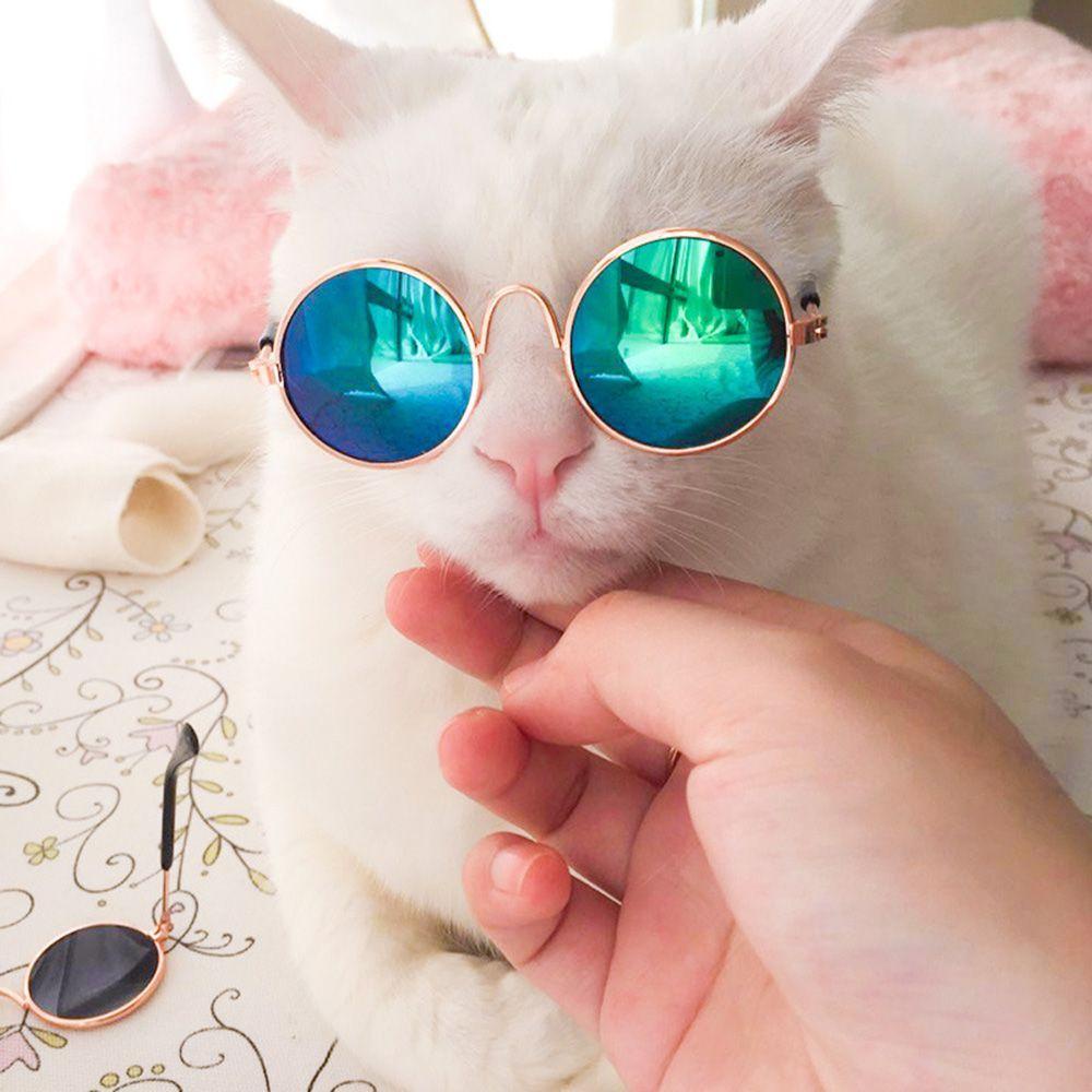 Top Kacamata Kucing Anjing Lucu Eye-wear Kitten Grooming Pet Pelindung Mata