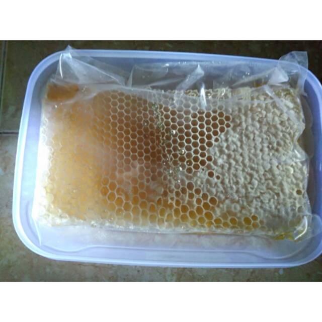 

Madu sarang Mellifera