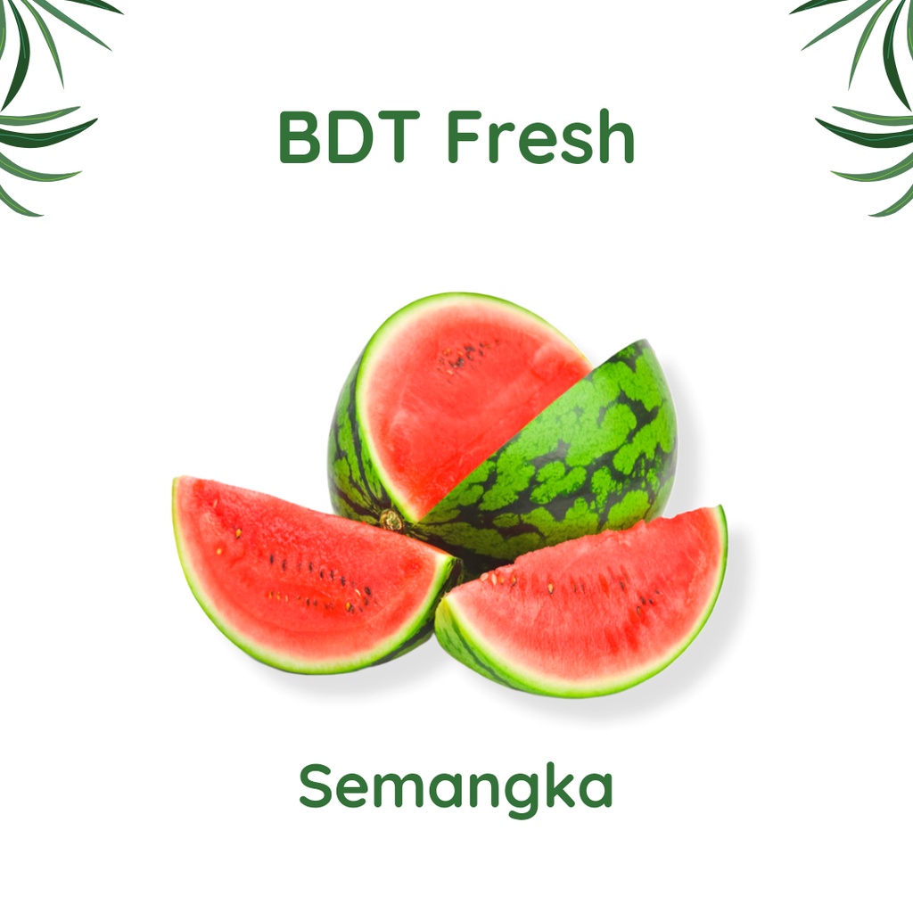 

Semangka Merah 3,5 - 4 kg