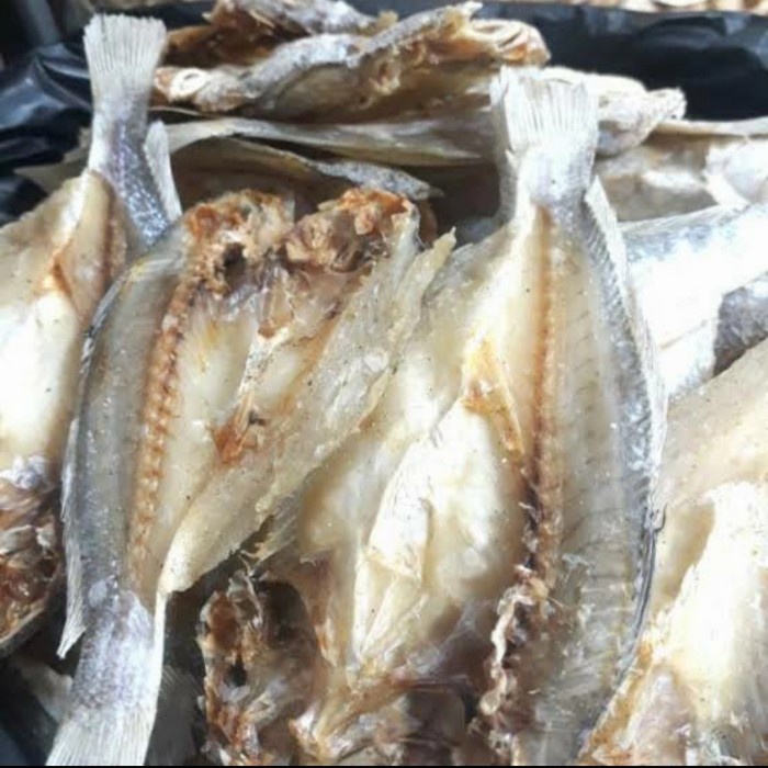 

Ikan Asin Kepala Batu Khas Pangandaran Asli 500 Gram