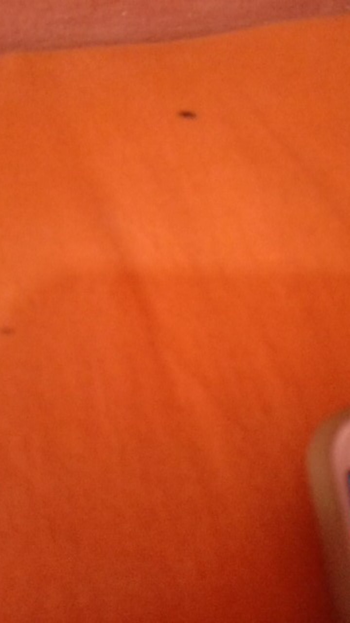 Kemeja Batik Pria Wg82