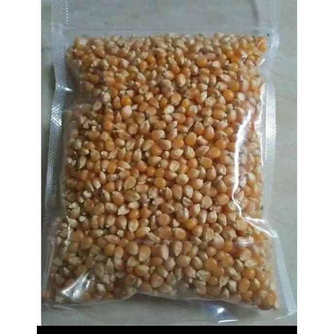 

Biji jagung pop corn