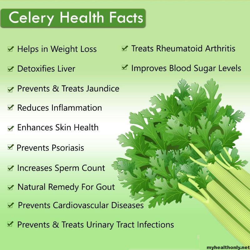 RAW TISANE Celery Leaf Tea : Pure Celery Leaves / Teh Celup Daun Seledri Isi 30 Tea Bag