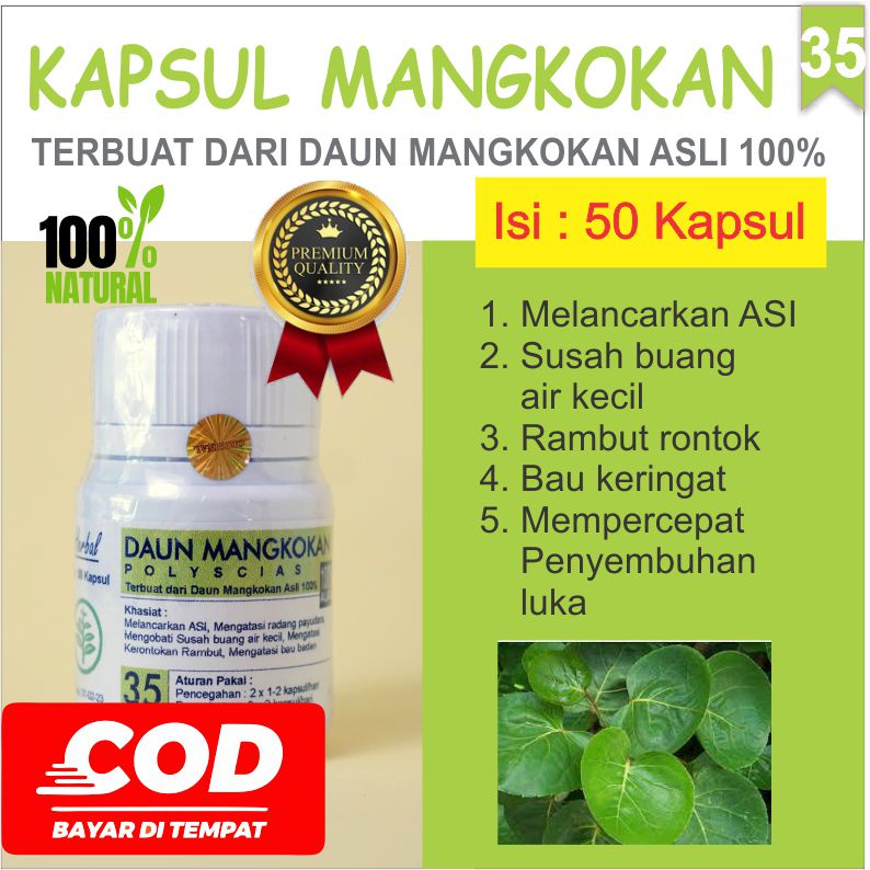 

Obat Herbal Rambut Rontok susah buang air kecil Daun Mangkokan Kapsul