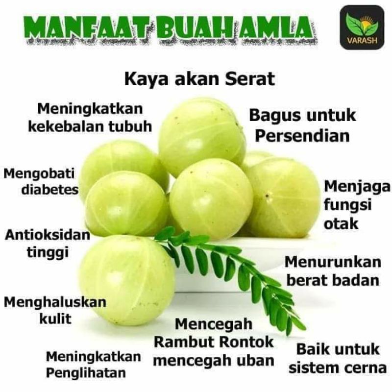 Amla Oil Replacement Amla Minyak India Penunda Uban Penghitam Rambut Amla Myway Shopee Indonesia