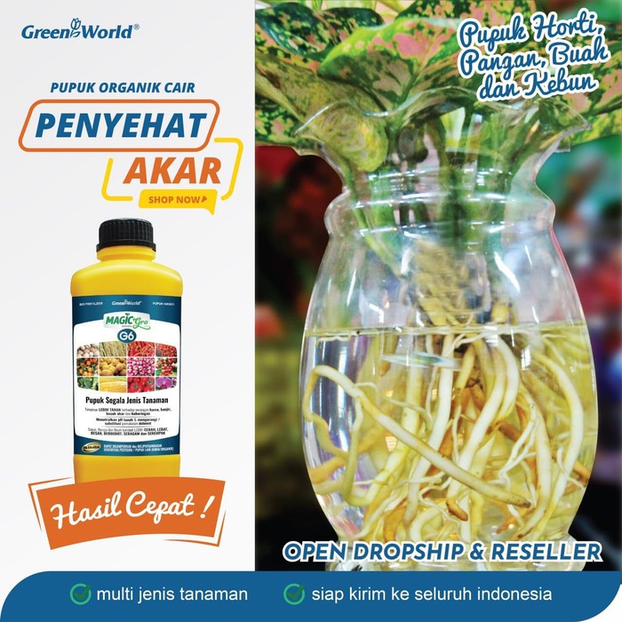 PUPUK AKAR TANAMAN PUPUK ORGANIK CAIR GreenWorld MAGICgro G6 998ml