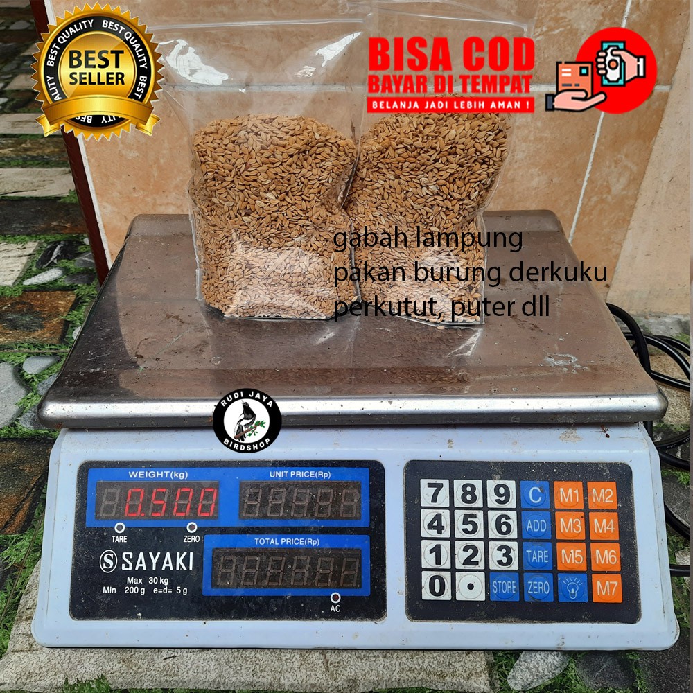 GABAH BANGKOK 500 GRAM GABAH PADI LAMPUNG MAKANAN BURUNG AYAM LOVEBIRD PERKUTUT MERPATI DERKUKU